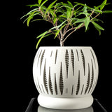 Calypta - Der Blickfang für dein Zuhause